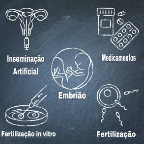 fertilidade